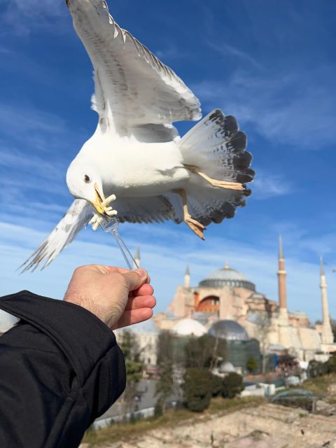 Istanbul: Best of The City Full-Day Tour with Transfers - Hagia Sophia and the city’s changing faiths