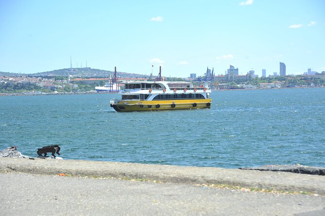 Istanbul: Bosphorus and Golden Horn Cruise with Audio Guide - Rumeli Fortress and the Upper Bosphorus