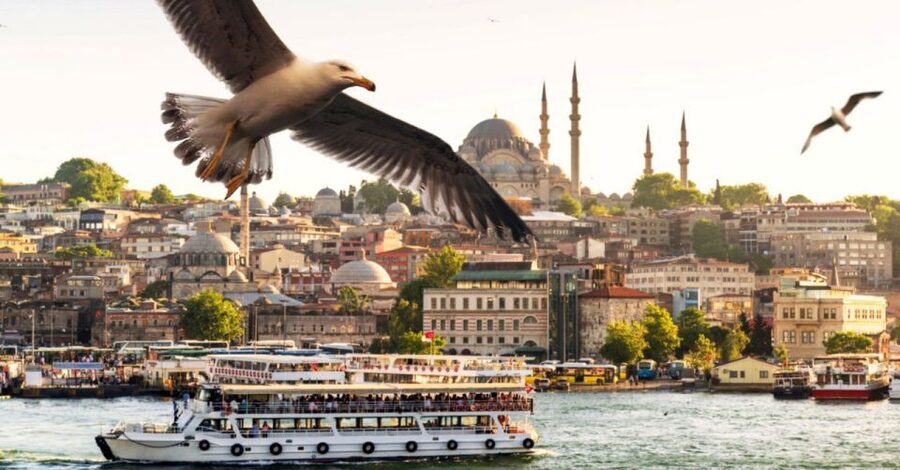 Istanbul: Bosphorus And Golden Horn Morning or Sunset Cruise - Ortaköy and the Bosphorus Bridge