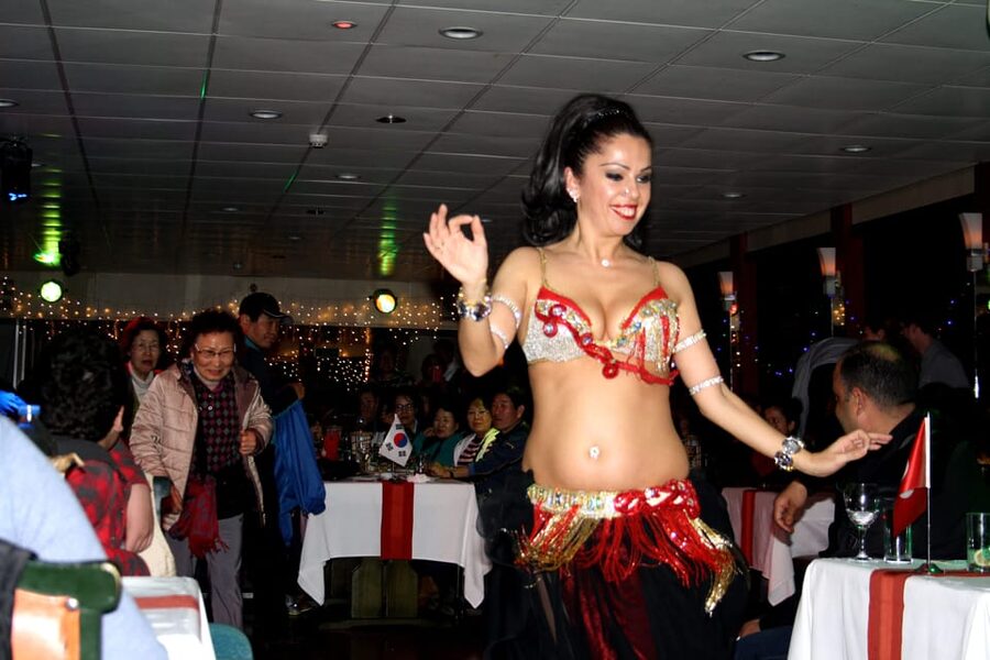 Istanbul: Bosphorus Dinner Cruise Incl. Drinks with Transfer - Who should book this cruise?