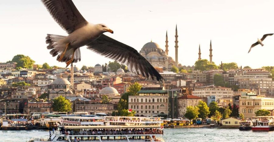 Istanbul: Bosphorus Dinner Cruise with Private Table & Show - Boarding with a private table
