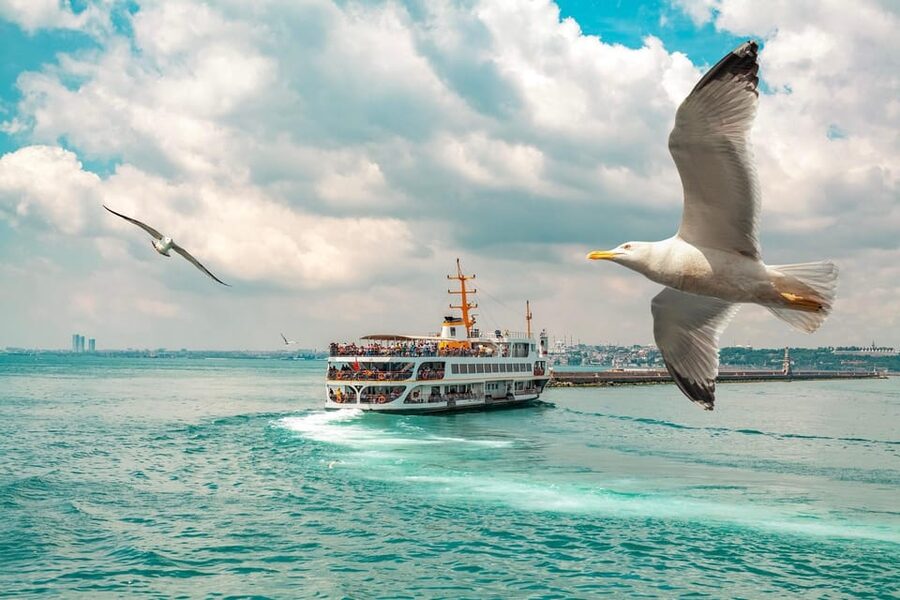 Istanbul: Bosphorus Strait Sightseeing Cruise & Audio Guide - Emirgan Park and the Asian shore