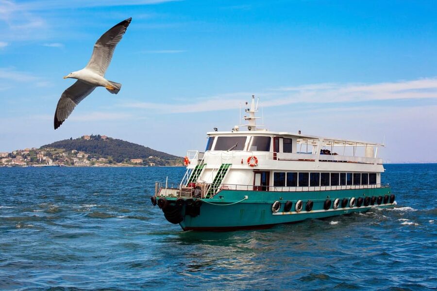 Istanbul: Bosphorus Strait Sightseeing Cruise & Audio Guide - What the two hours really mean