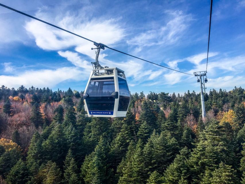 Istanbul: Bursa and Uludag Full-Day Trip with Cable Car Ride - The 600-year-old Inkaya Tree