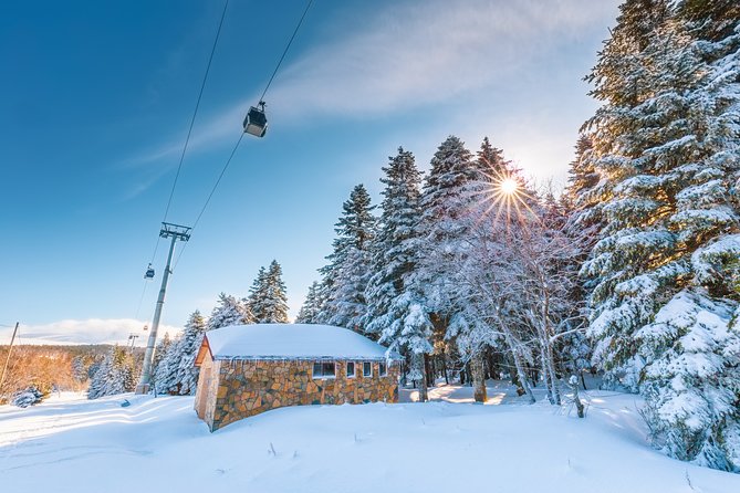 Istanbul: Bursa and Uludag Mountain Day Trip with Cable Car - Shopping Stops Can Change the Shape of the Day