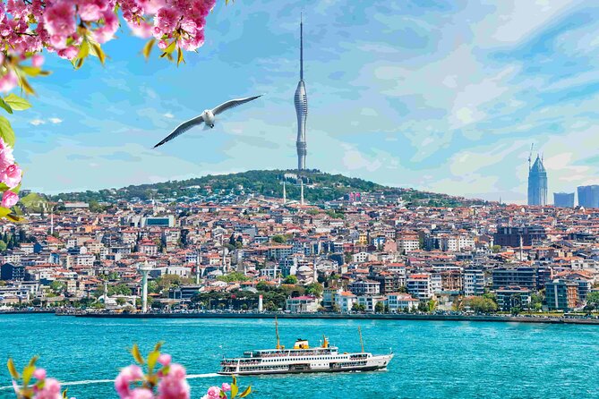 Istanbul Camlica Tower: Private Entry, Transfer & Dine Choices - Transport, timing, and the ticket warning
