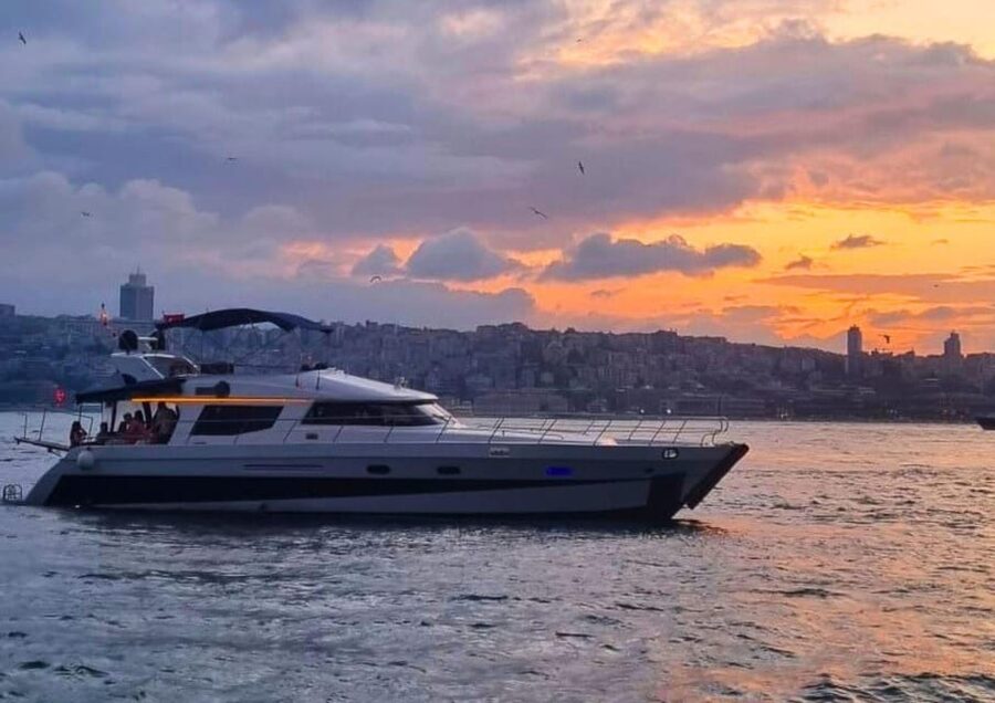 Istanbul: Daytime Bosphorus Yacht Cruise with Fruit & Snacks - Food, drinks, and the onboard mood