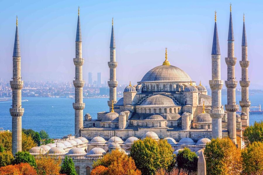 Istanbul: Full-Day Guided Tour - Şerefiye Cistern, a quieter final stop