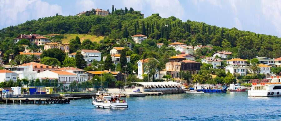 Istanbul: Full Day Princes Islands Guided Tour with Lunch - Morning pickup through Istanbul’s central districts