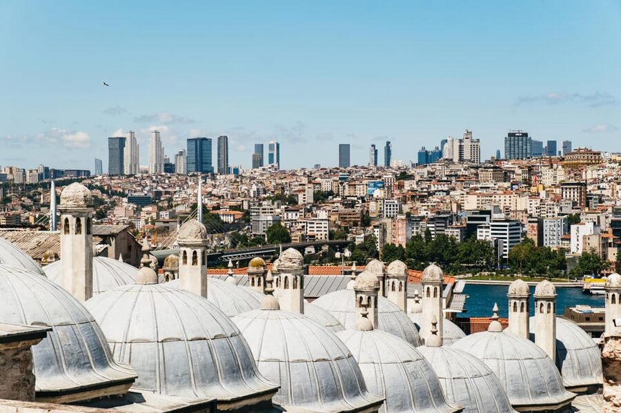 Istanbul: Hagia Sophia, Blue Mosque, Suleymaniye Mosque Tour - Who should book this experience?
