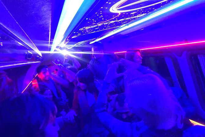 Istanbul Party Pub Crawl with Party Bus in Sultanahmet and Taksim - Who Should Book This Istanbul Pub Crawl?