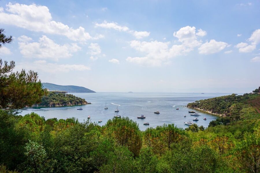 Istanbul: Princes' Islands Cruise w/Music, Lunch & Transfer - Key Points Before You Book