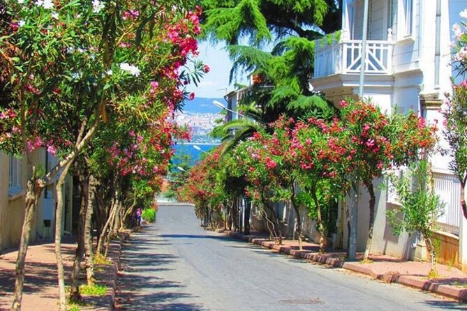Istanbul: Princes Islands Tour with Heybeliada and Buyukada - Three hours on Büyükada