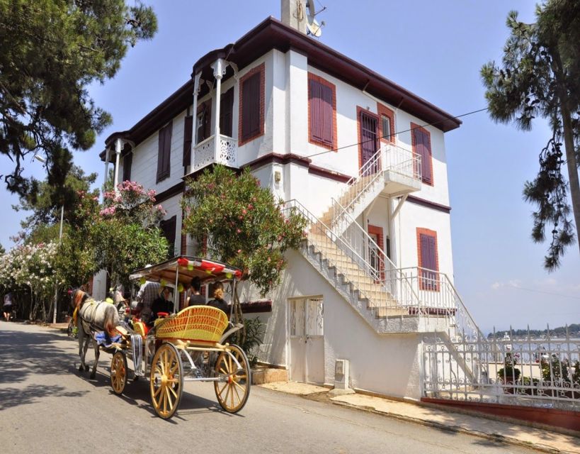 Istanbul: Princes' Islands Tour with Lunch and Transfers - Practical tips for making the day better