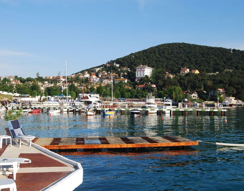 Istanbul: Princes' Islands Tour with Lunch and Transfers - The guide and the language setup