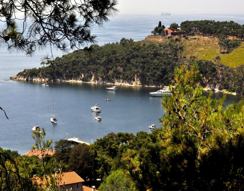 Istanbul: Princes' Islands Tour with Lunch and Transfers - Who should choose this island day?
