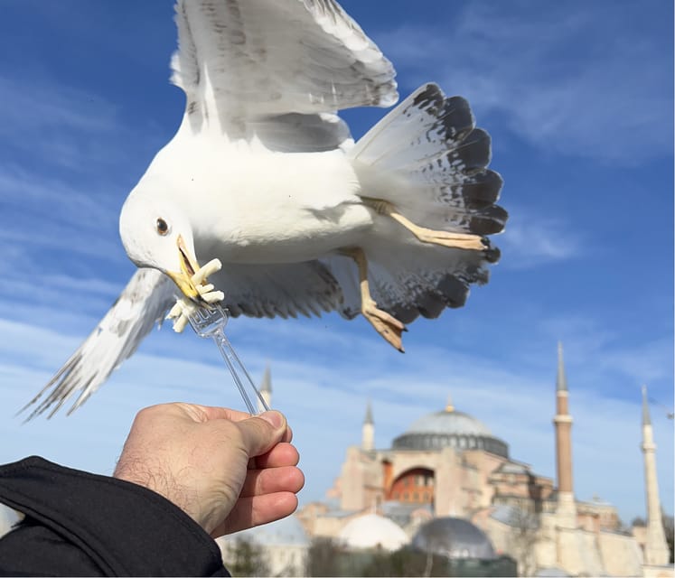 Istanbul: Private City Tour with Transportation - Key points to know before booking
