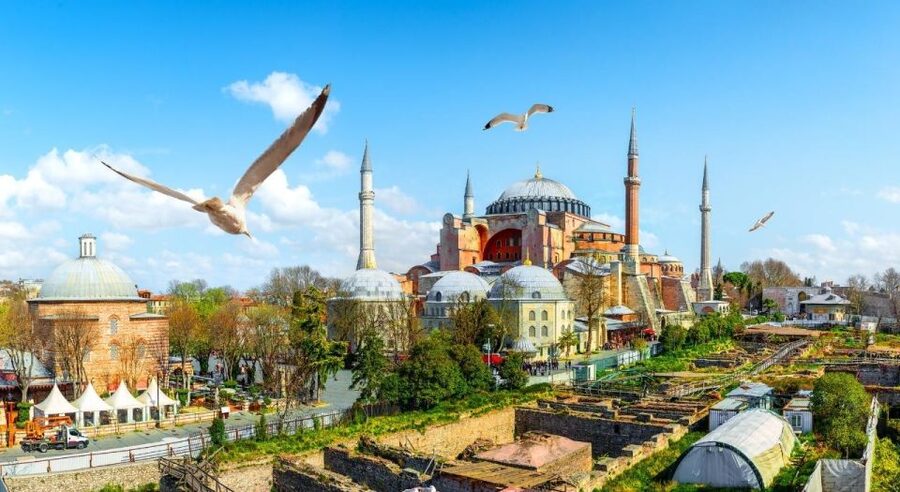 Istanbul: Private Guided Walking Tour - Price, extra costs, and real value