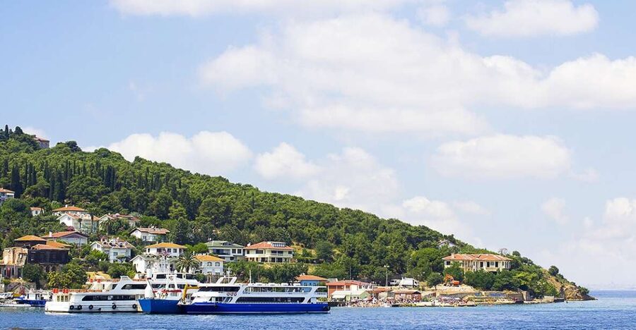 Istanbul: Round-Trip Ferry Tickets to the Princes' Islands - Arriving at Büyükada and getting oriented