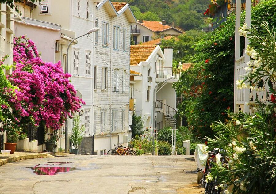 Istanbul: Round-Trip Ferry Tickets to the Princes' Islands - The wooden orphanage and the island’s layered past