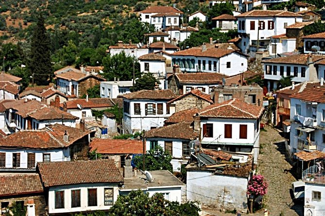 Istanbul to Ephesus Full Day Guided Tour, Flight and Lunch incl. - Should you pay extra for the Terrace Houses?
