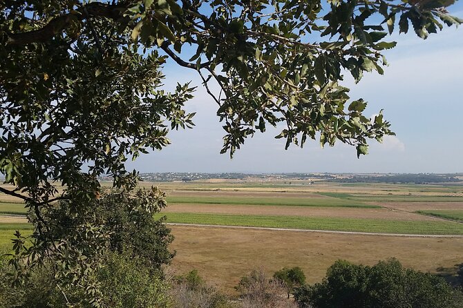 Istanbul to Truva Troy Guided Day Tour with Lunch and Transfers - Lunch near Eceabat and the Dardanelles crossing