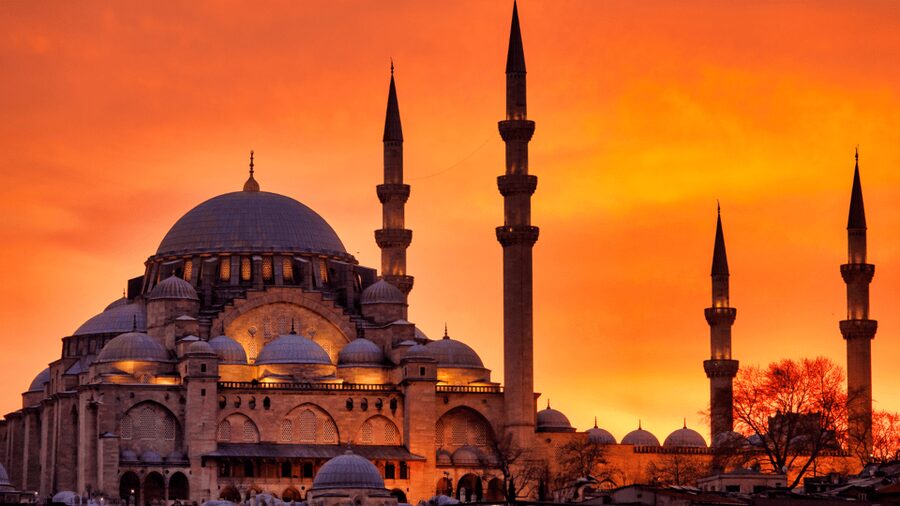 Istanbul: Top Museums Guided Pass - Guide quality and pace