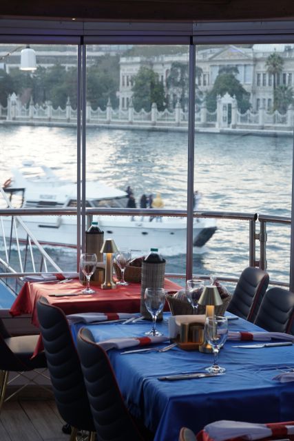 Istanbul: Turkish Night on the Bosphorus Dinner Cruise - Who should book this cruise?