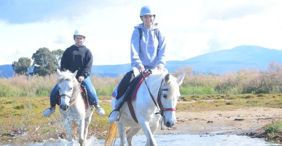Kusadasi: Beach and Forest Horse Riding Tour - Key points to know before you book