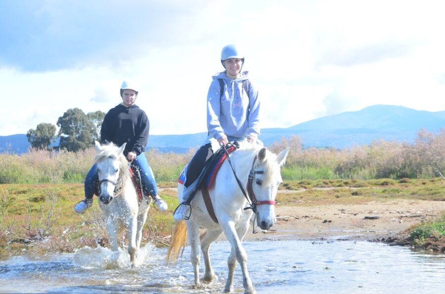 Kusadasi: Beach and Forest Horse Riding Tour - Pine Forest, Olive Groves, and Village Life