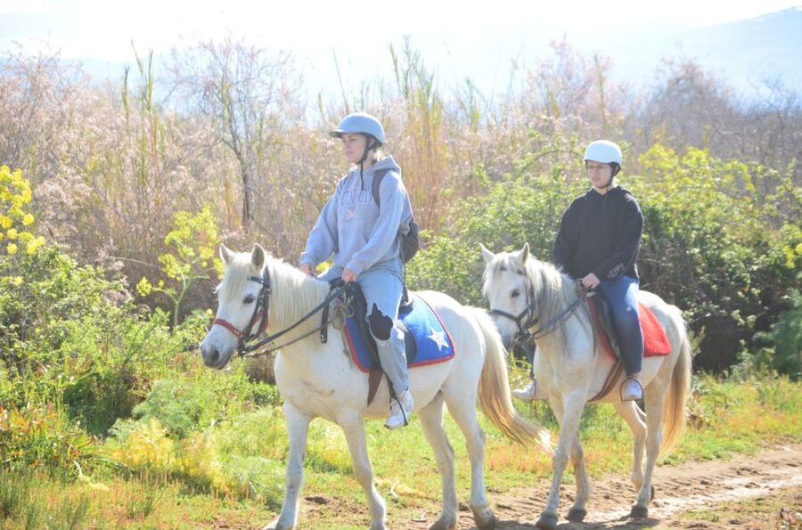 Kusadasi: Beach and Forest Horse Riding Tour - Choosing a Horse and Finding Your Rhythm