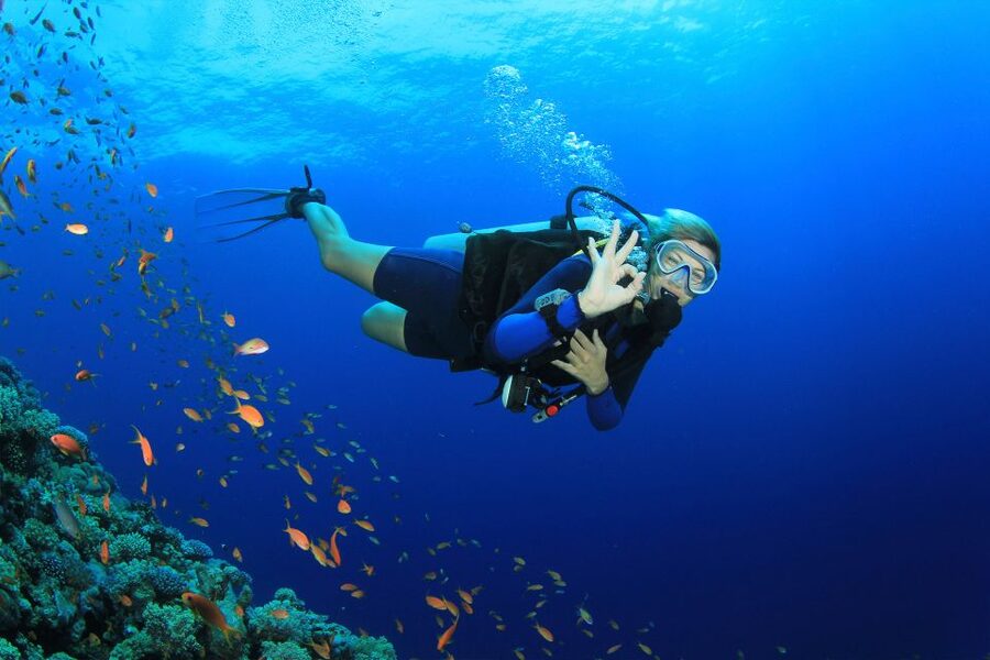 Kusadasi: Diving Experience with Lunch and Transfer - The Boat Ride and Sea Time