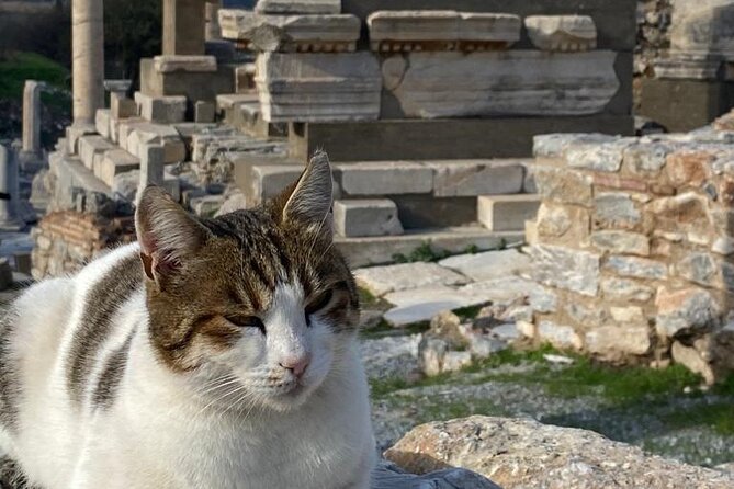LESS Walking Tour : Private Ephesus, House of Virgin Mary, Temple - Ephesus with less walking, not no walking