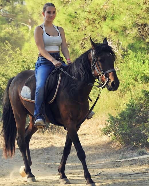 Manavgat Side: Horse Riding on the Beach and in the Forest - The horses and the standard of care
