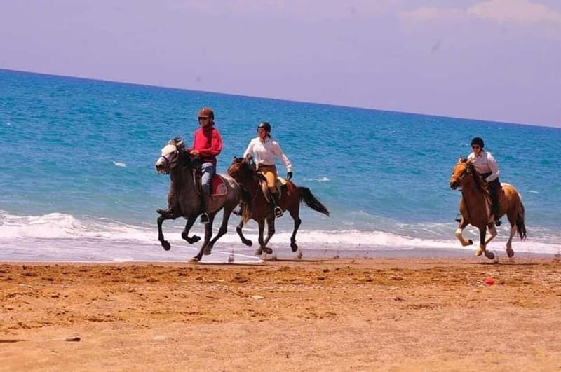 Manavgat Side: Horse Riding on the Beach and in the Forest - Hotel pickup keeps the morning simple