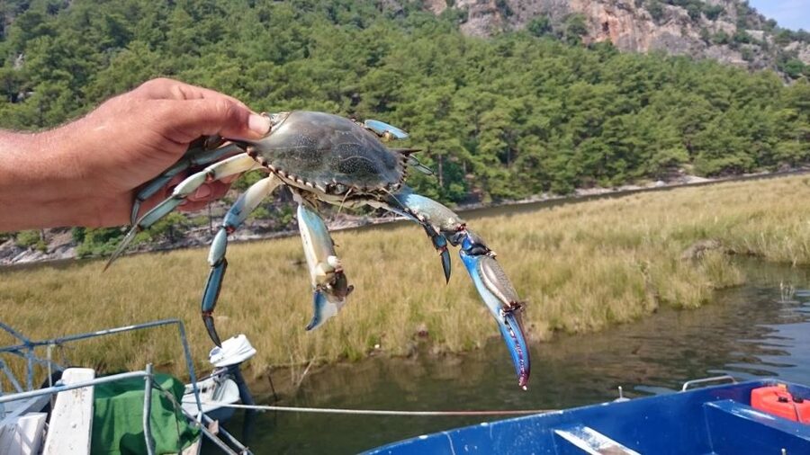 Marmaris: Dalyan Turtle Beach Tour with Mud Bath & Lunch - The Guides and Group Atmosphere