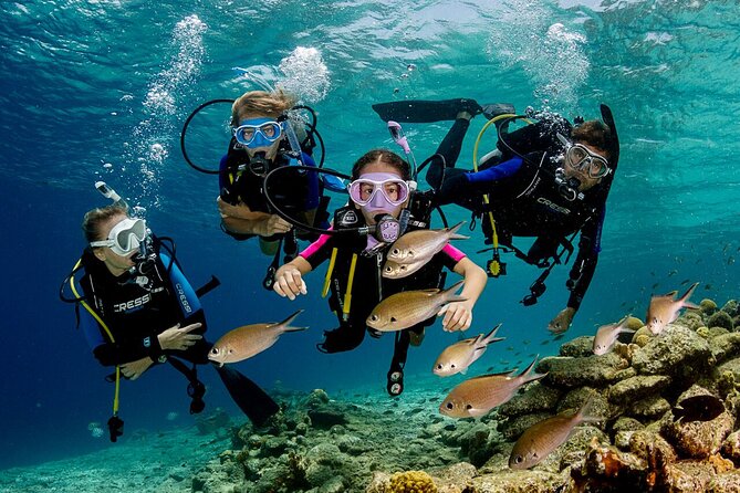 Marmaris Full Day Scuba Diving Two Dives With Lunch Hotel pickup - Key points to know before booking