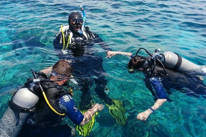 Marmaris Full Day Scuba Diving Two Dives With Lunch Hotel pickup - First session: a 20-minute check underwater