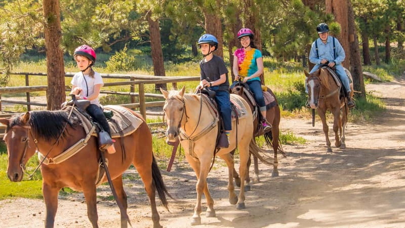 Marmaris: Horse Riding Experience with Transfer - Water, mud, and the part that gets your feet wet