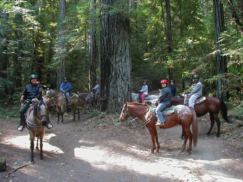 Marmaris: Horse Riding Experience with Transfer - FAQ