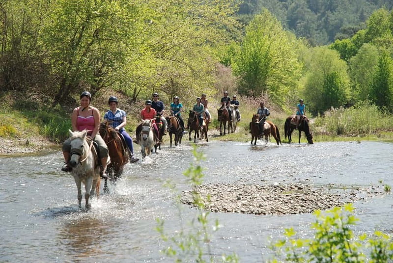 Marmaris: Horse Riding Experience with Transfer - Riding through Marmaris pine forest and orange groves