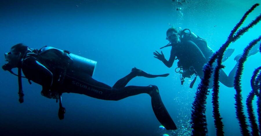Marmaris: Scuba Diving Experience with 2 Dives and Lunch - Key points to know before booking