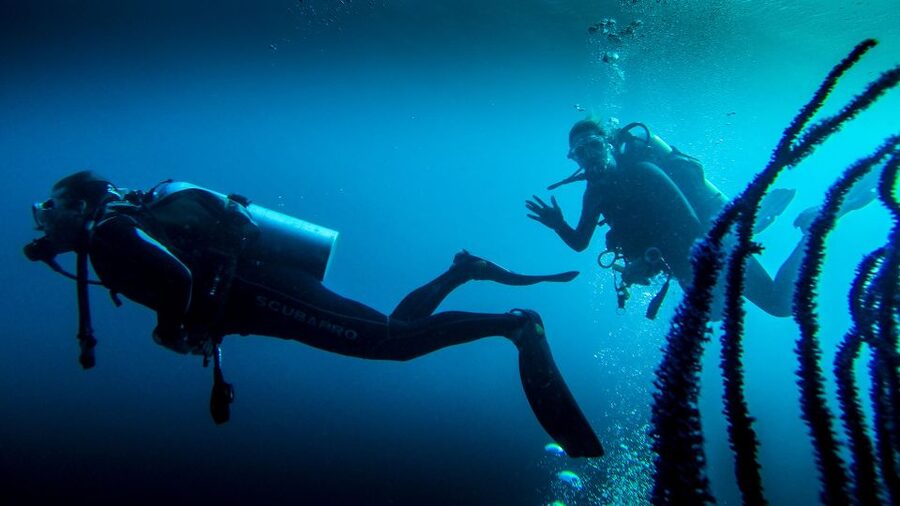 Marmaris: Scuba Diving Experience with 2 Dives and Lunch - Getting from your hotel to the Marmaris harbor