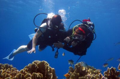 Scuba Diving Experience with 2 Dives and Lunch