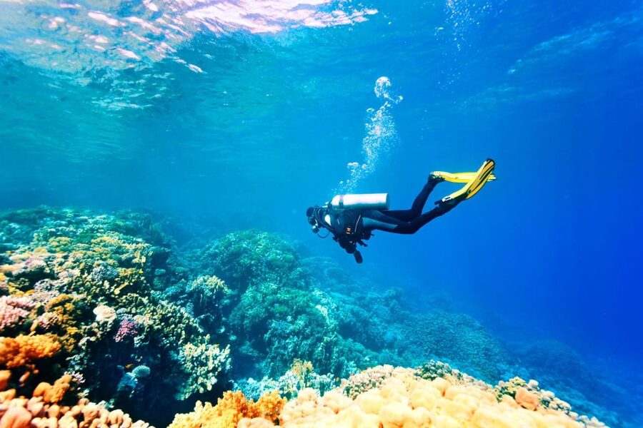 Marmaris: Scuba Diving Experience with 2 Dives and Lunch - Price, value, and extra costs