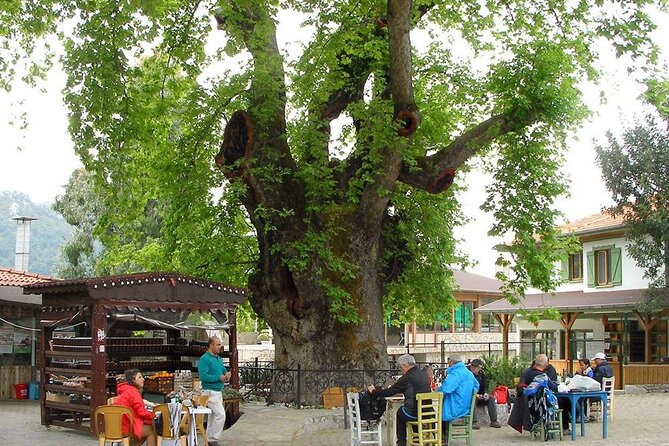 Marmaris Village Tour with Waterfalls & Visit Jesus Beach - What this $30 Marmaris tour really offers