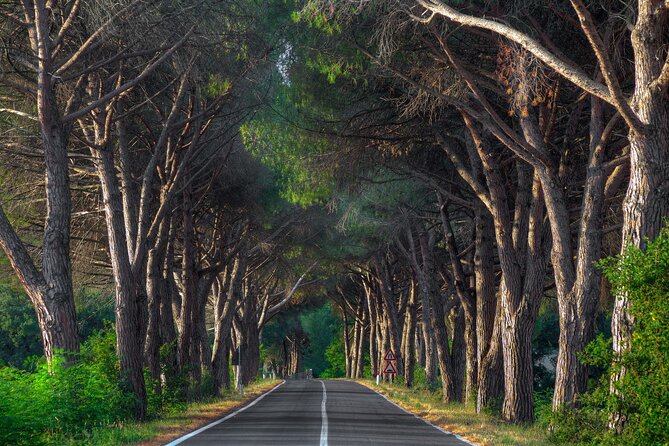Marmaris Yuvarlakcay Tour With Lunch and Akyaka River Cruise - Lunch and riverside time at Yuvarlak Cay