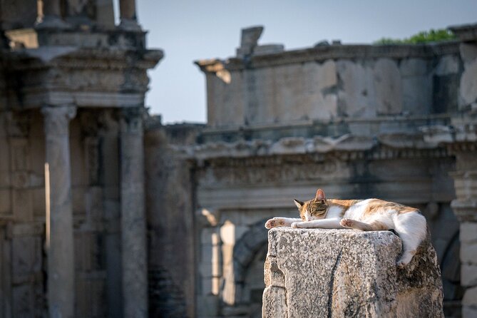NEW: Private The Most Detailed Ephesus Shore Excursion / with Lunch - Why this private Kusadasi excursion works well