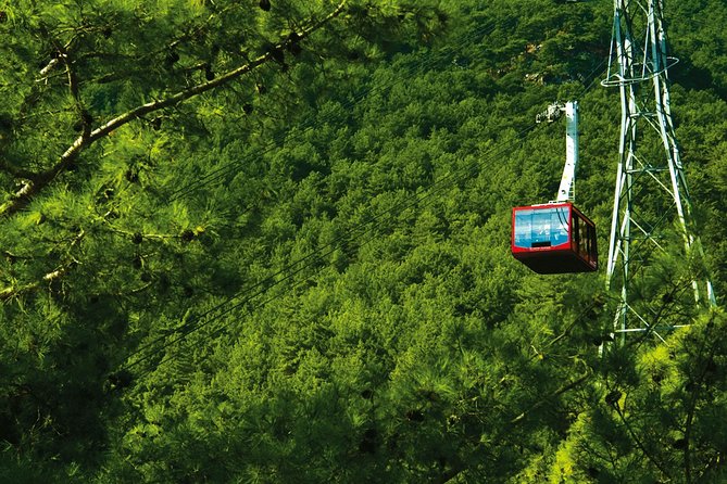 Olympos Teleferik Cable Car Antalya Ticket - Who will enjoy this cable car most