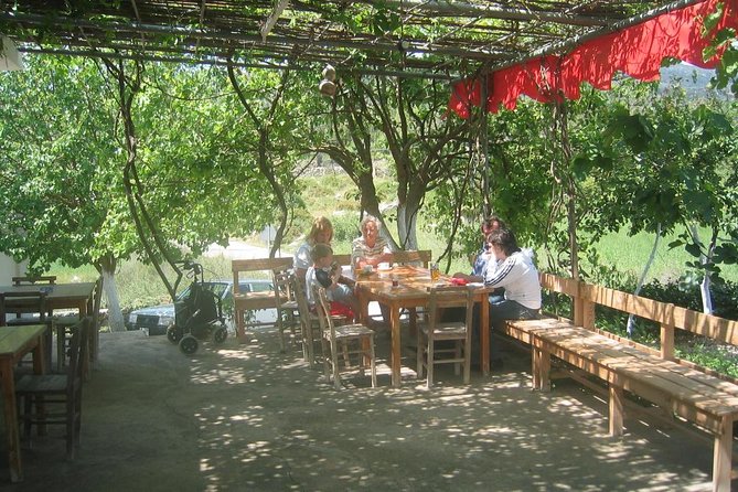 Private Bodrum Village Tour + 1 Glass Free Local Wine - Walking through ordinary village life